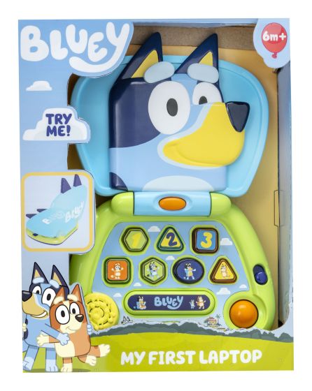 Bluey laptop