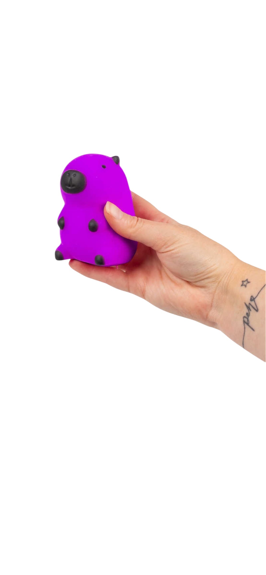 Fidget squeezy Capybara