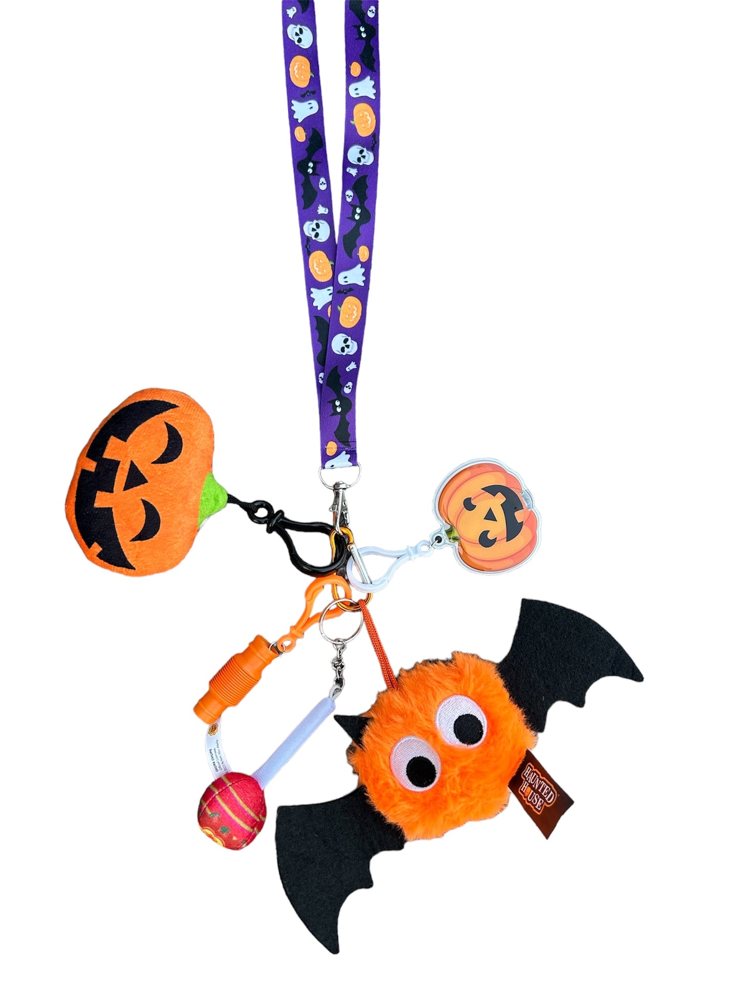 NEW Halloween fidget and sensory lanyard