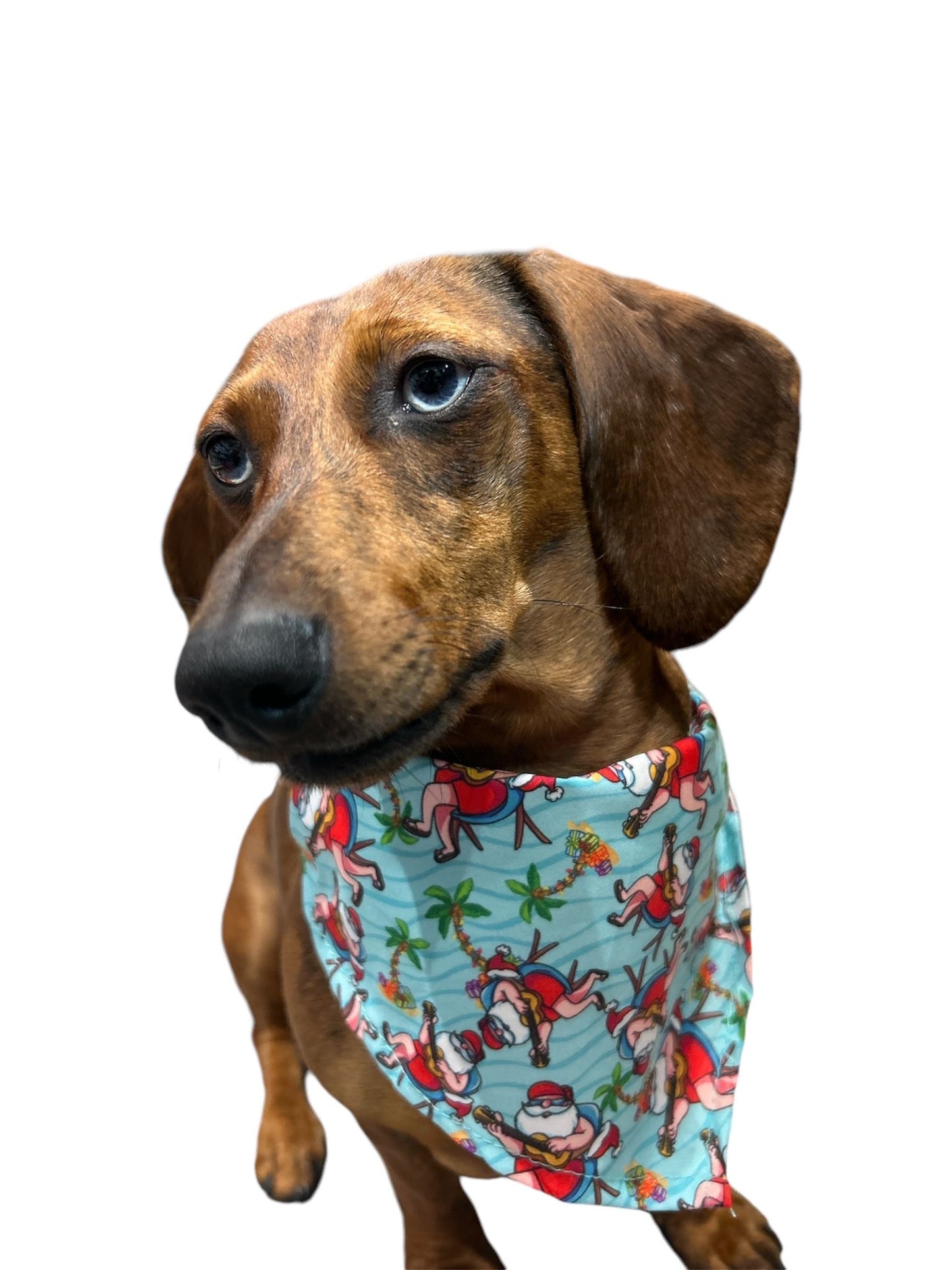 Isabella dog bandana