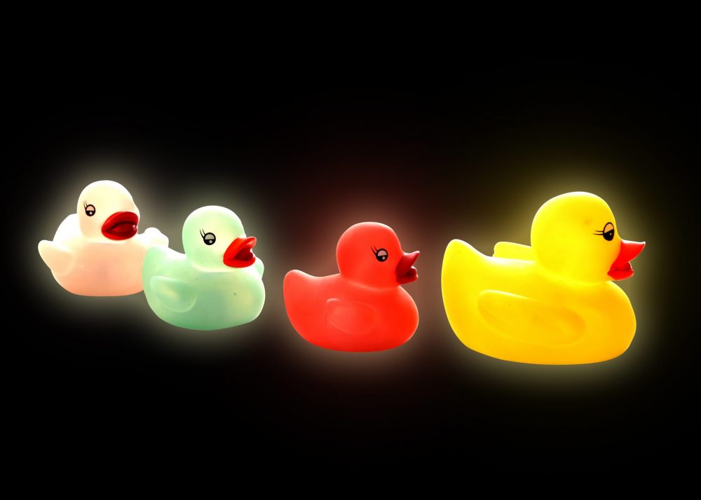 LED Ducks