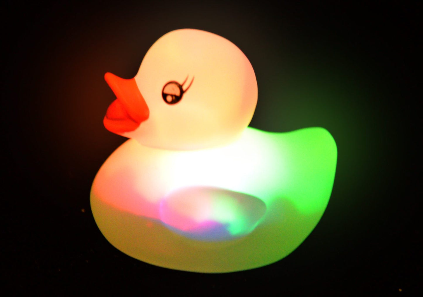 LED Ducks