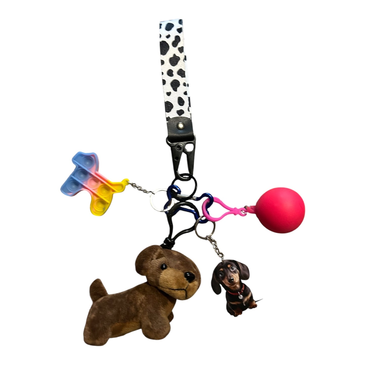 Daschund fidgets with key strap