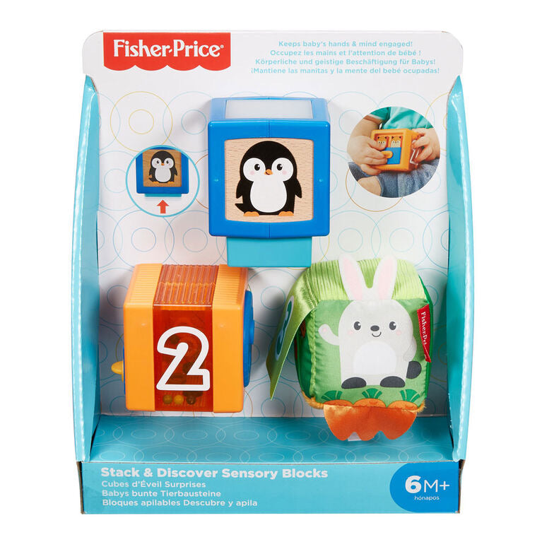 Fisher Price Sensory Blocks